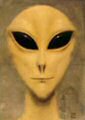 photo alien