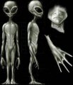 photo alien