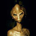 photo alien